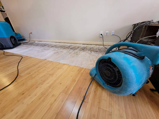 Professional Water Removal technician working in Winter Park, FL